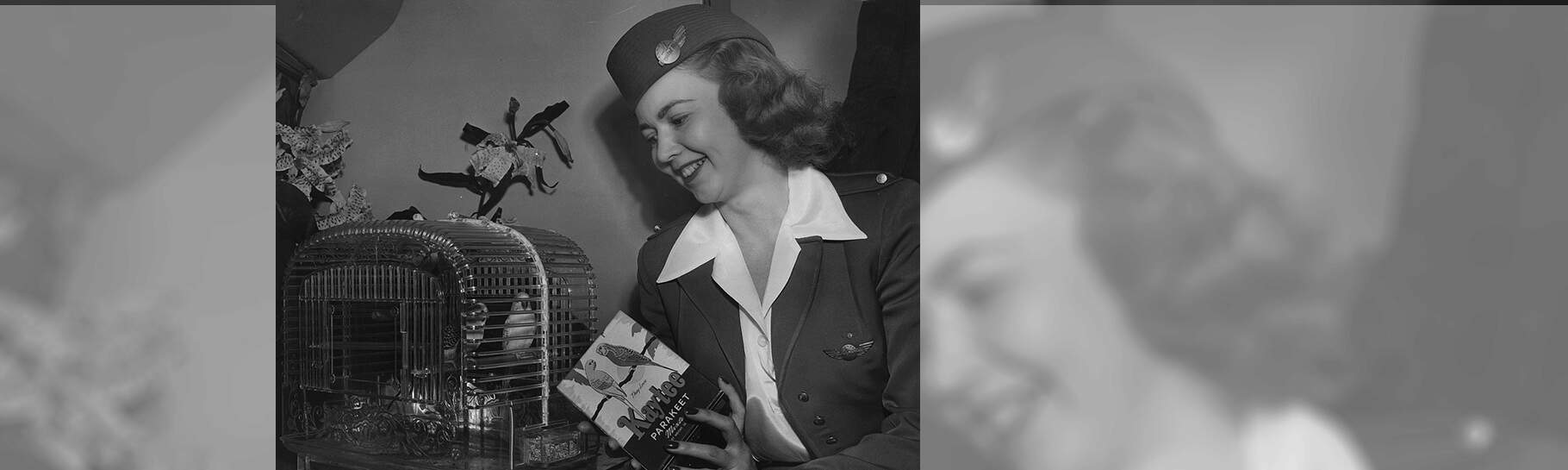 Flight Attendent with Kaytee Handbook