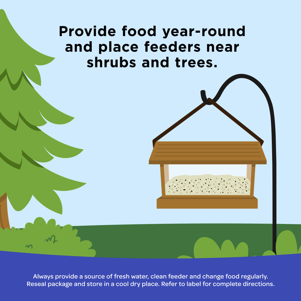 100508149-kaytee-peanuts-wild-bird-food-5-pounds-5