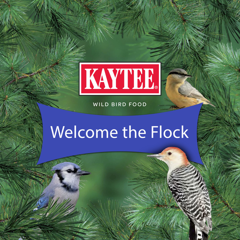 100508149-kaytee-peanuts-wild-bird-food-5-pounds-9