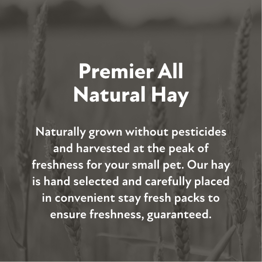 Premier All Natural Hay