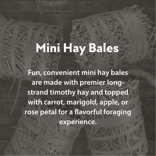 Mini Hay Bales