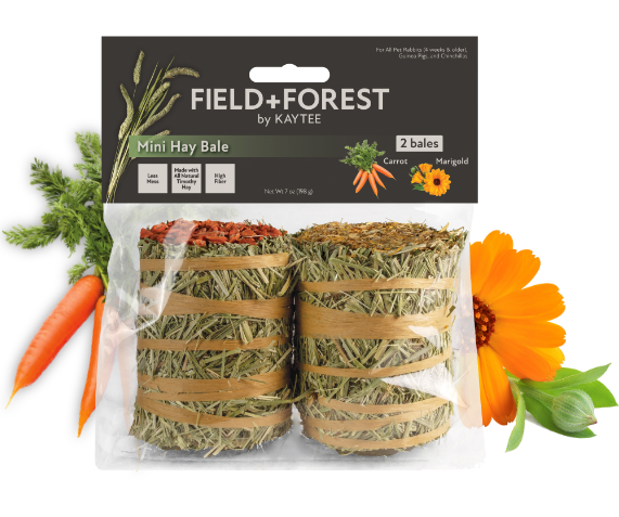 Carrot Marigold Mini 2pk