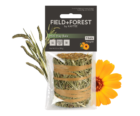 Marigold Mini 1pk
