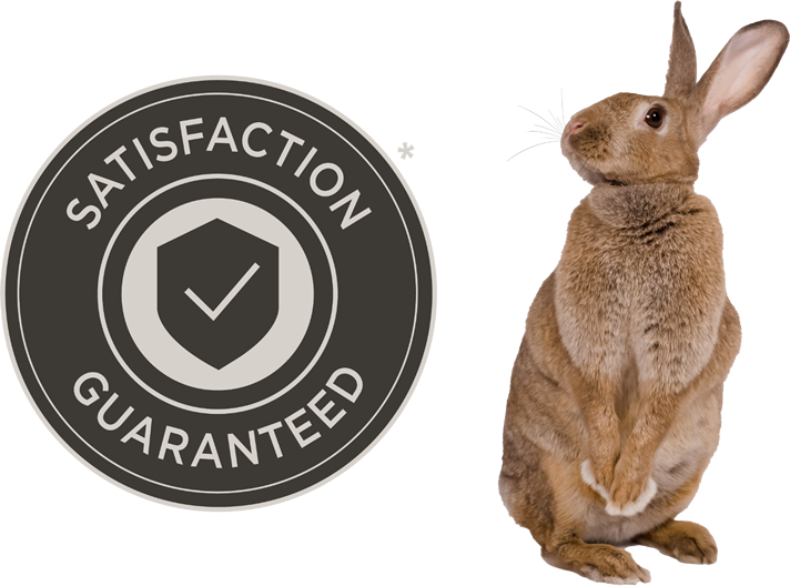 Why Field+Forest Rabbit & Guarantee