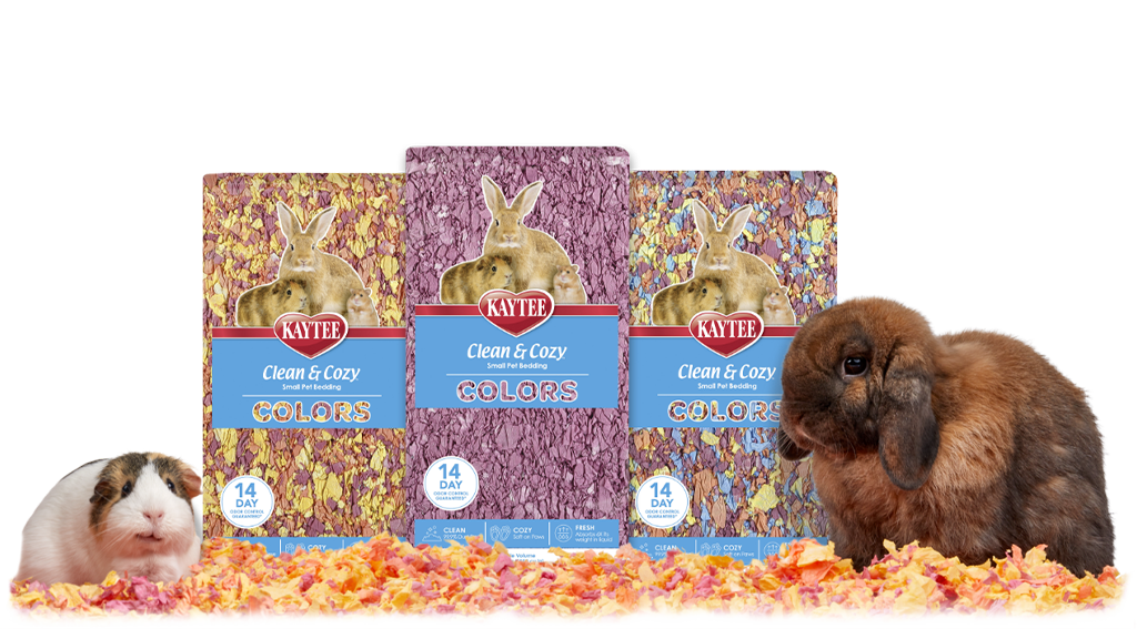 CC Colors Header products