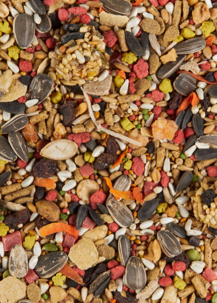 Fiesta SA Food Background