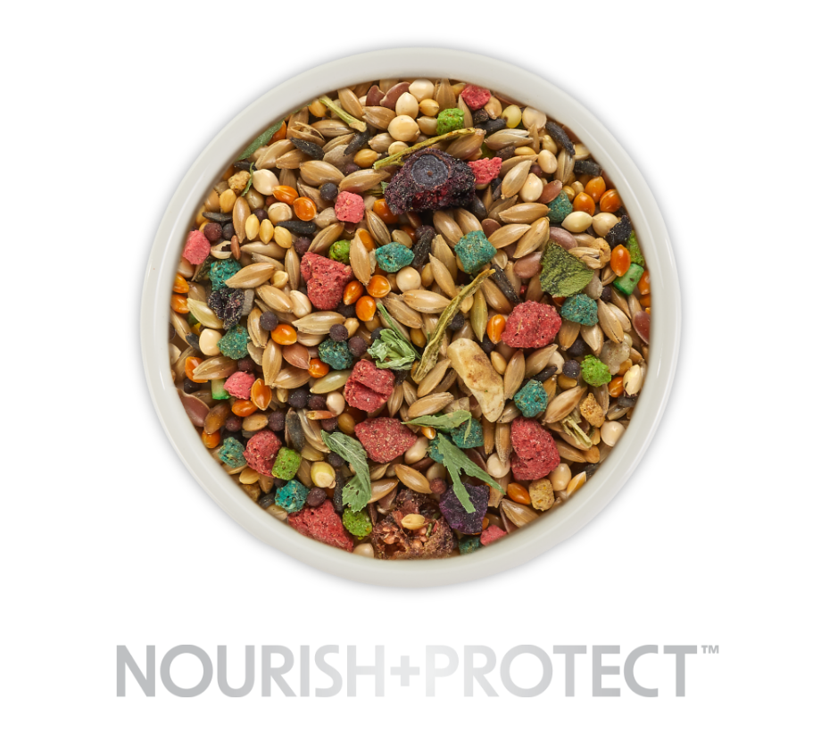 bowlnoursihprotect