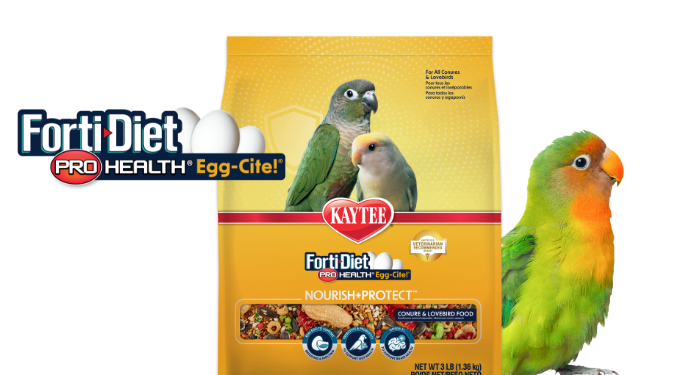 eggciteparakeet