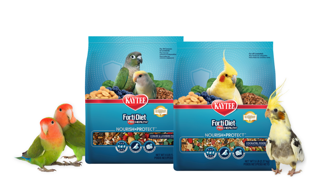 forti-diet