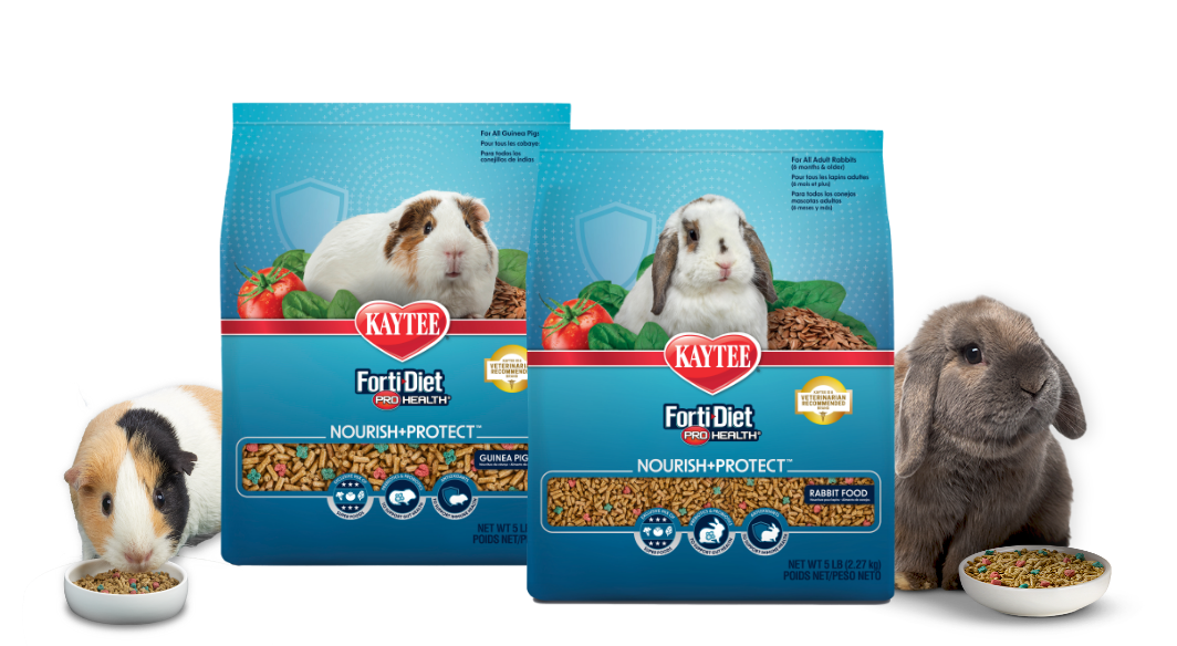 forti-diet