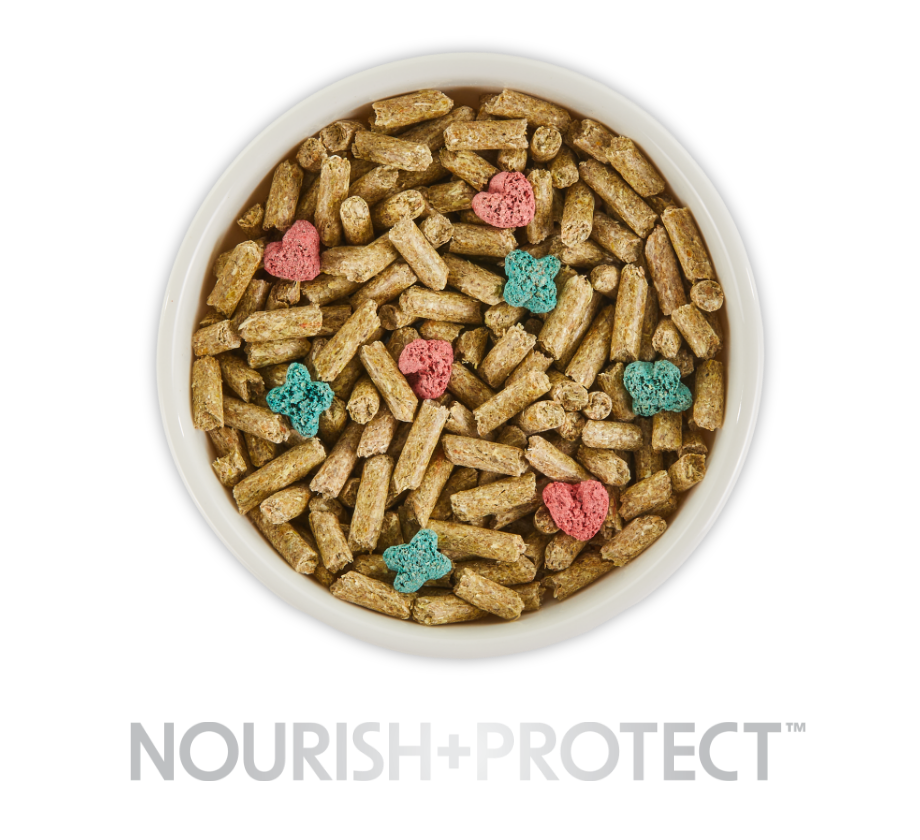nourishprotectbowl
