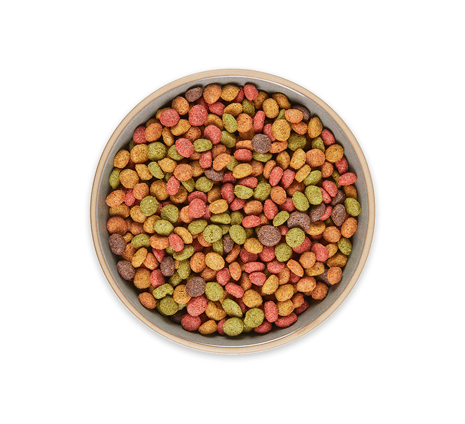 Nutridelight Food Bowl