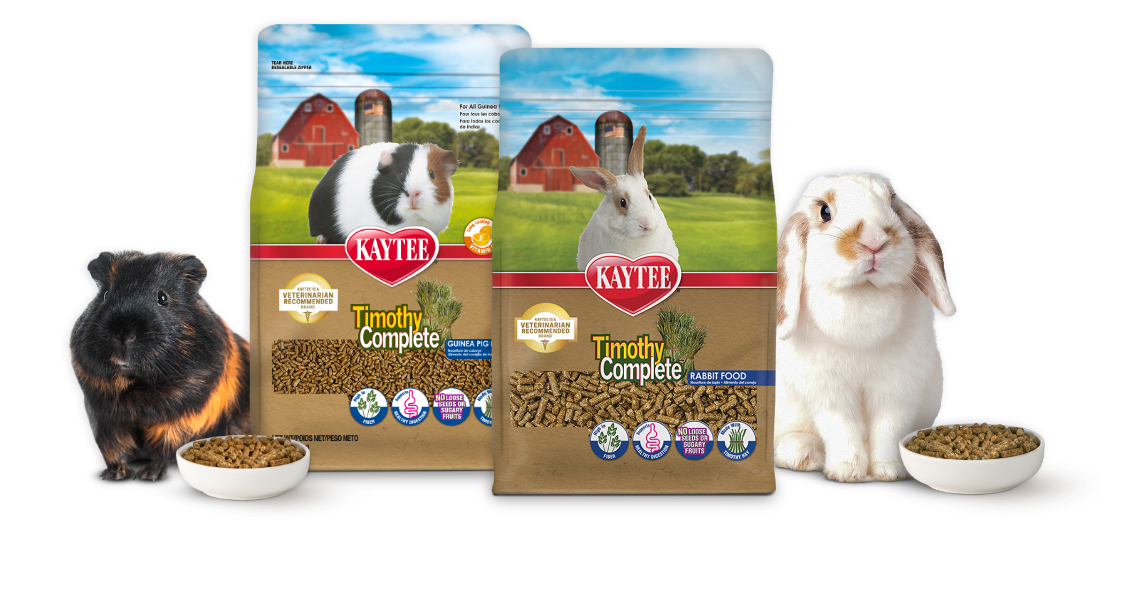 Pet Bird Food LP  Header Image