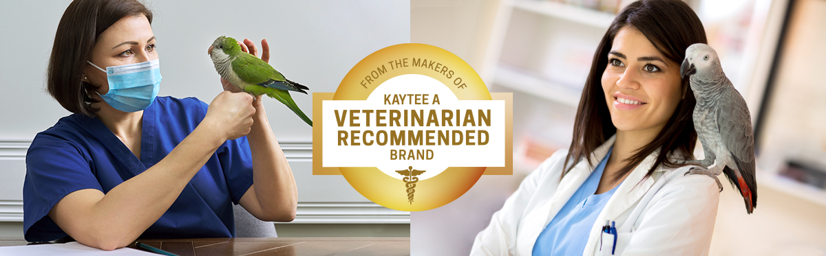 Kaytee Pet Bird Vet Recommended
