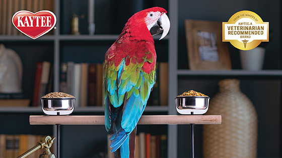 Kaytee Pet Bird Vet Recommended