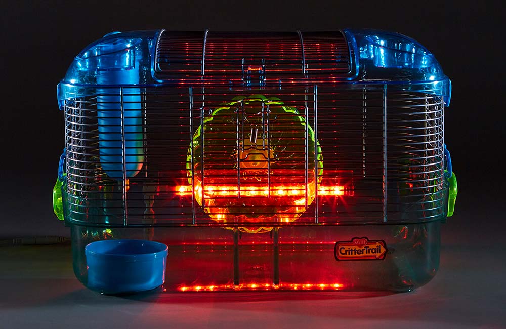 led-light-up-cage
