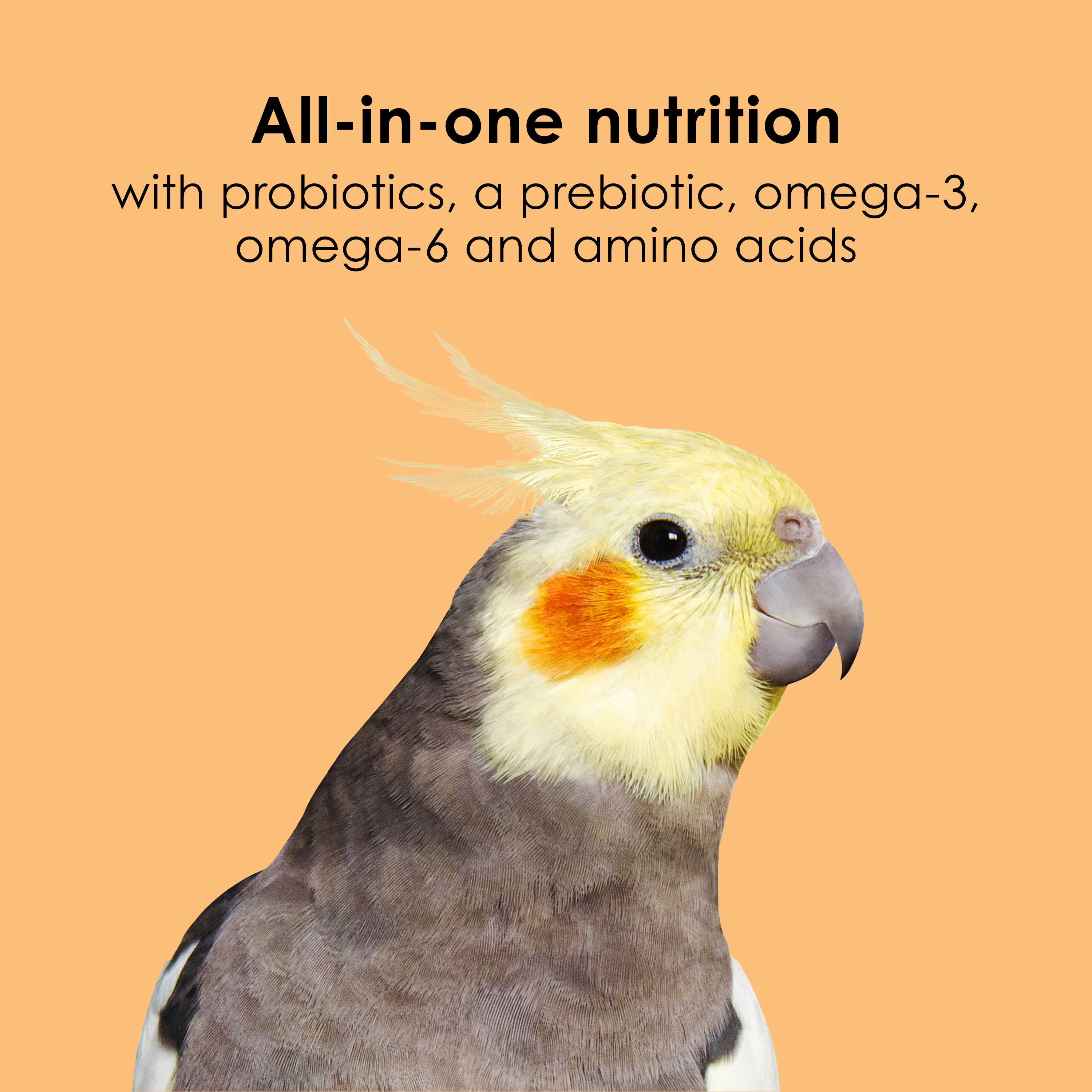SAPM100550795_Infographic05
