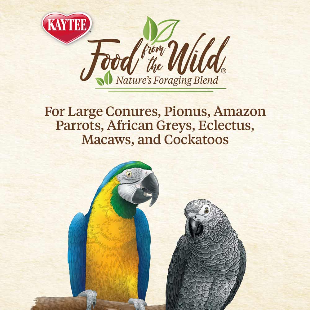 Kaytee Food From The Wild Pet Bird Treat