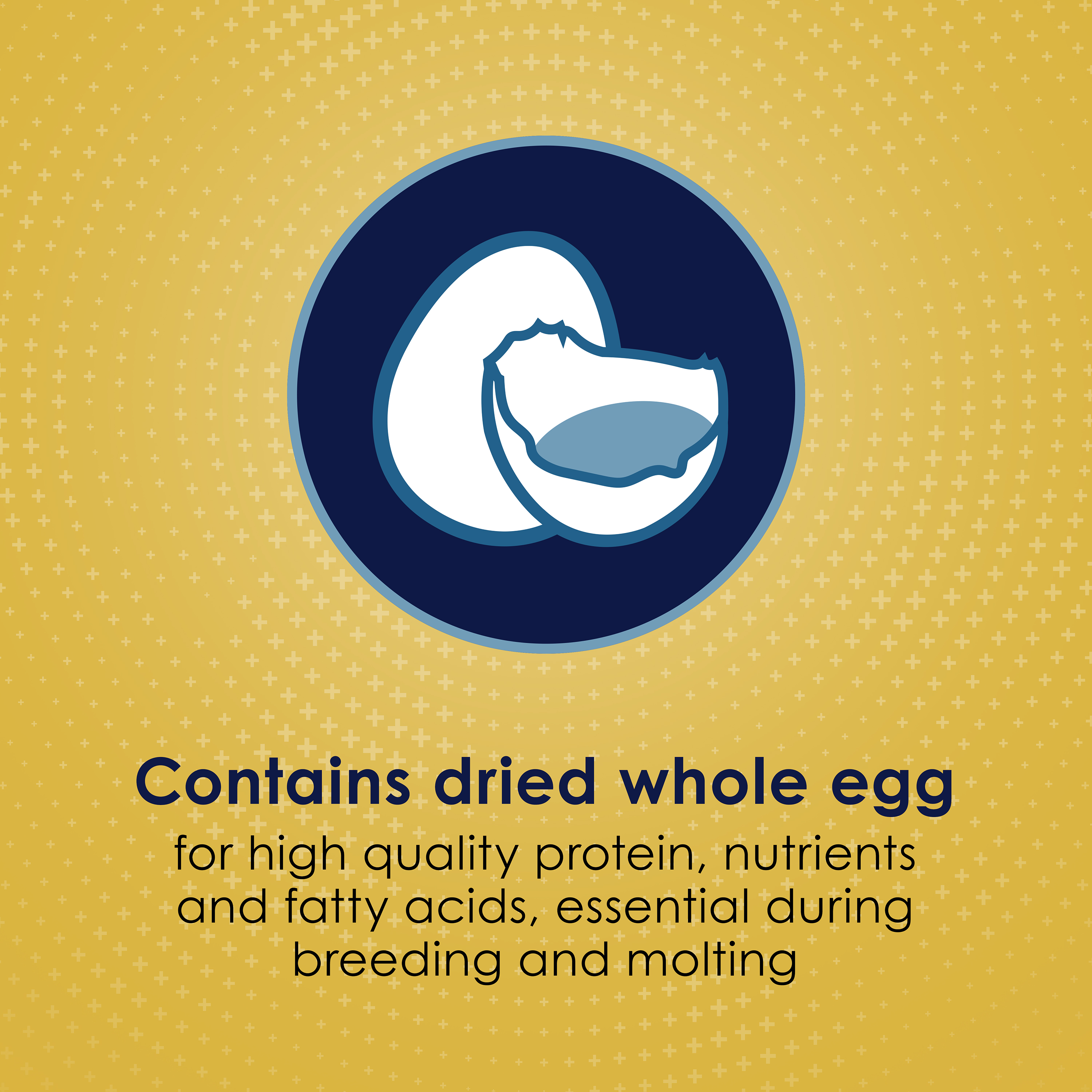 762982391-100036918_infographic02