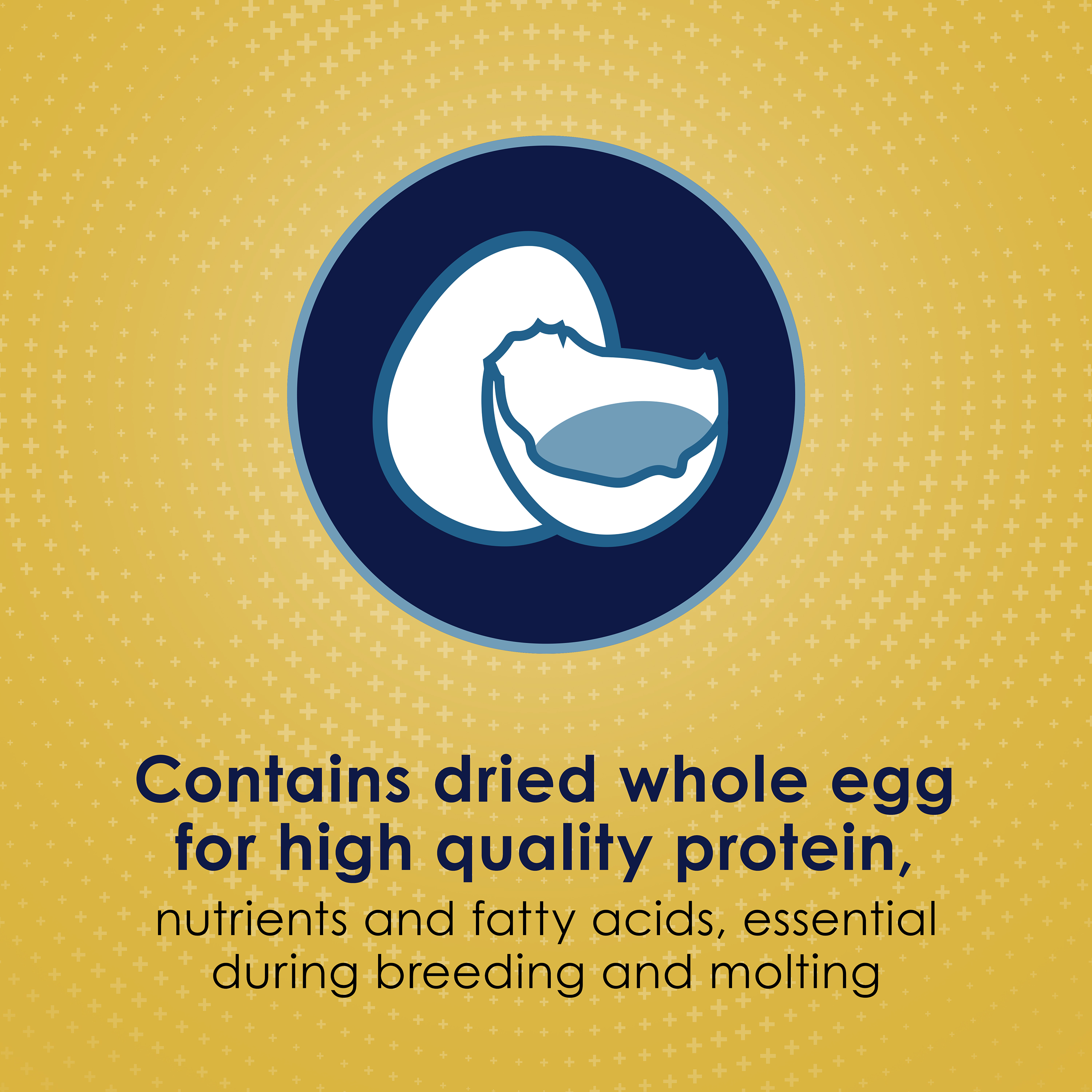 763589084-100036924_infographic02-1