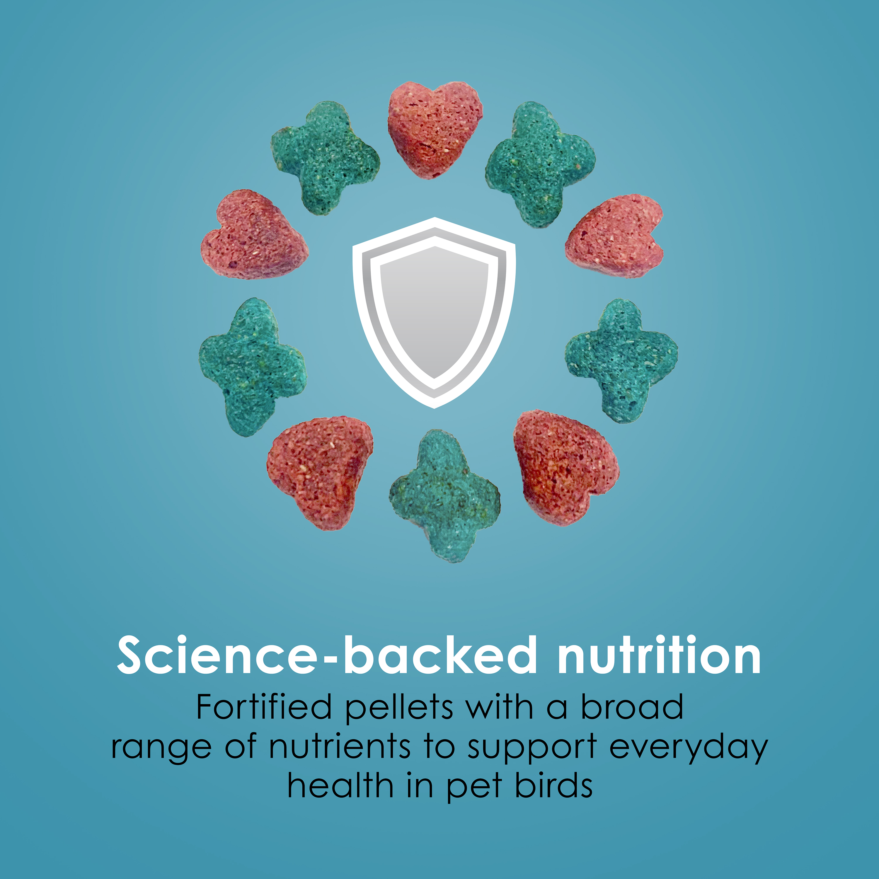 762962562-bird2_infographic05