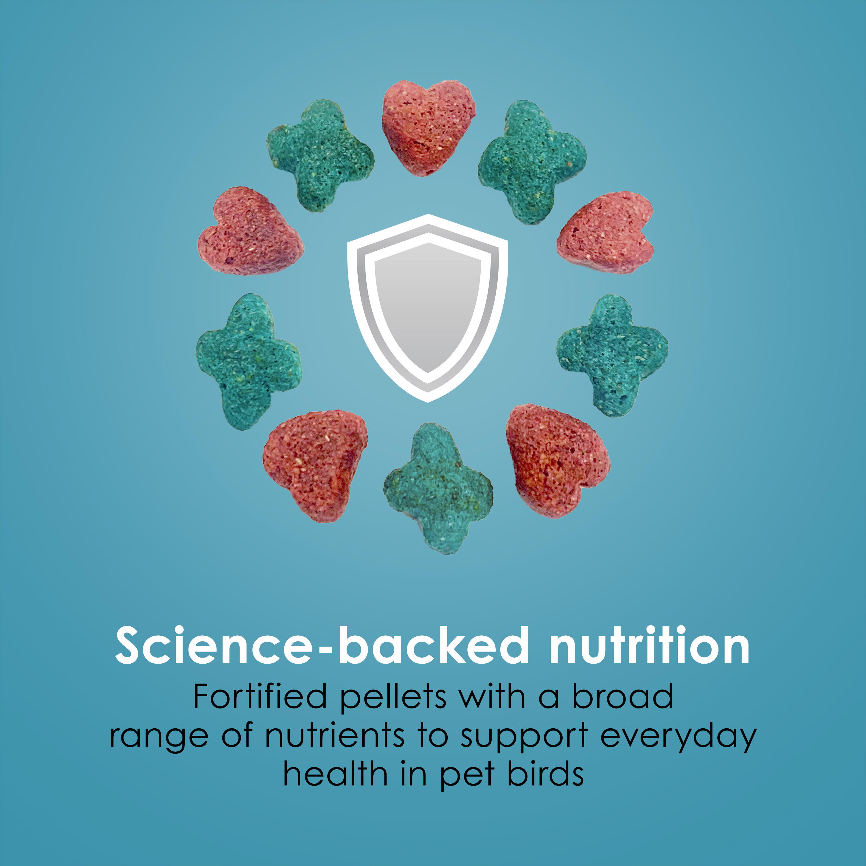762985419-bird2_infographic05-1