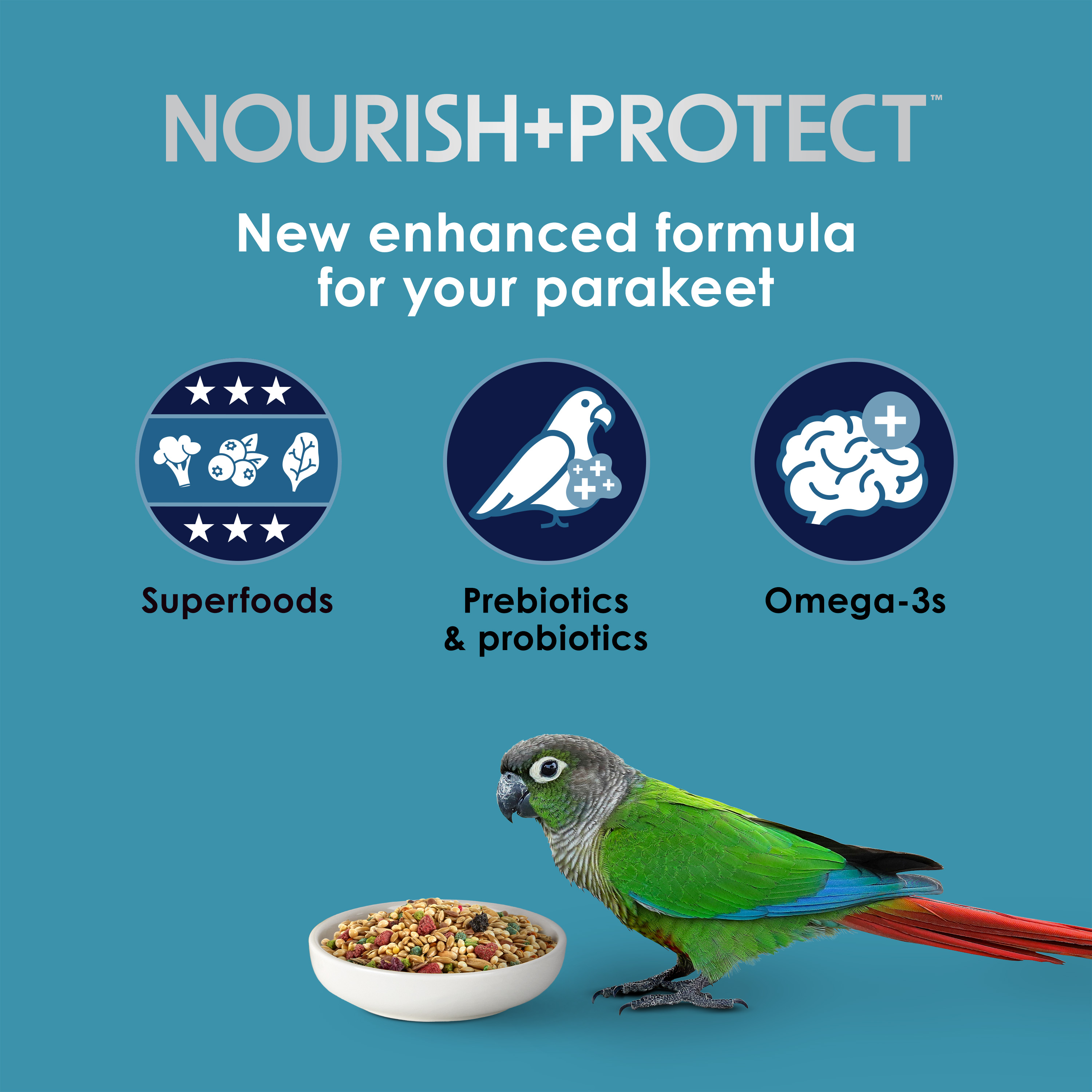 762571601-parkeet_infographic01