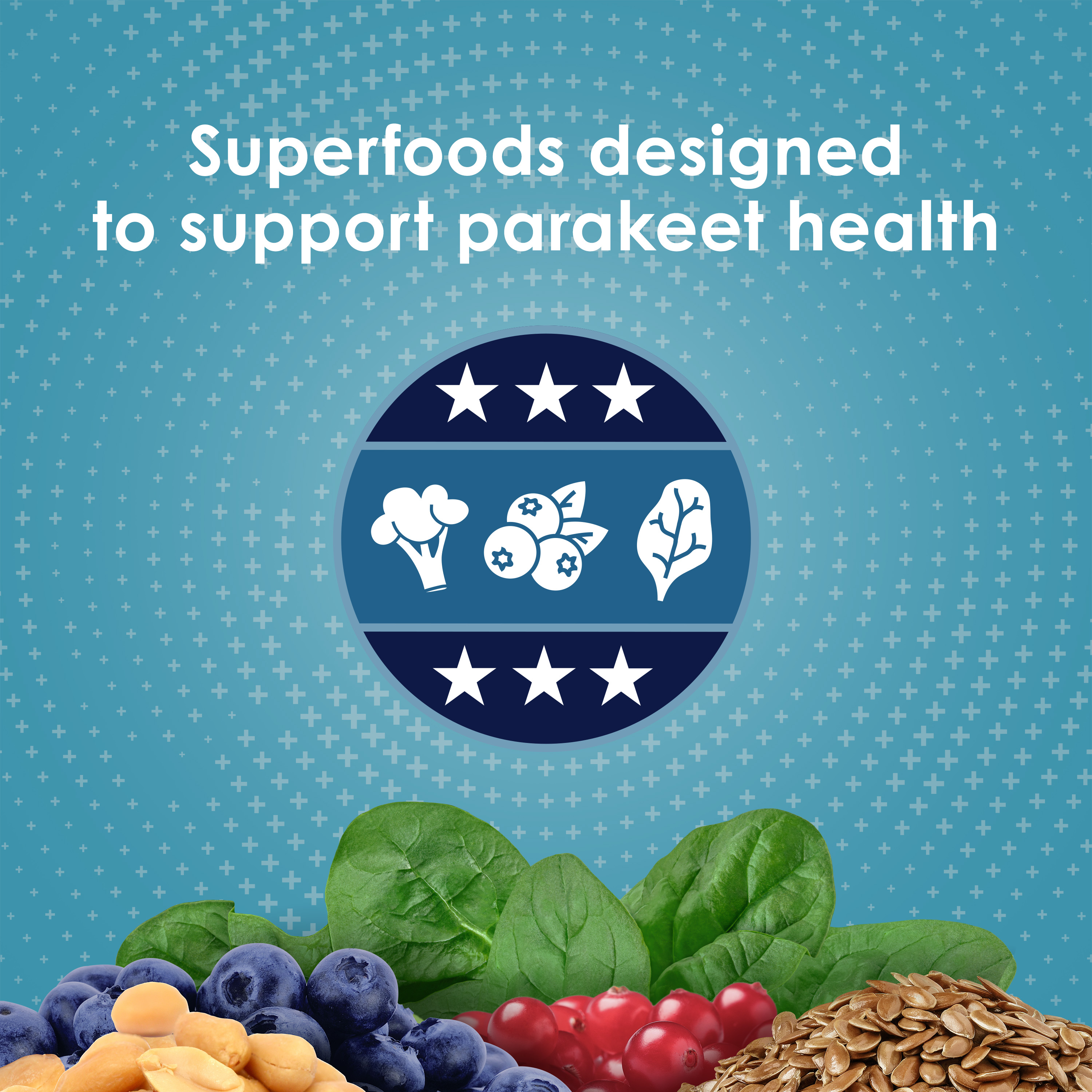 762571619-parkeet_infographic02