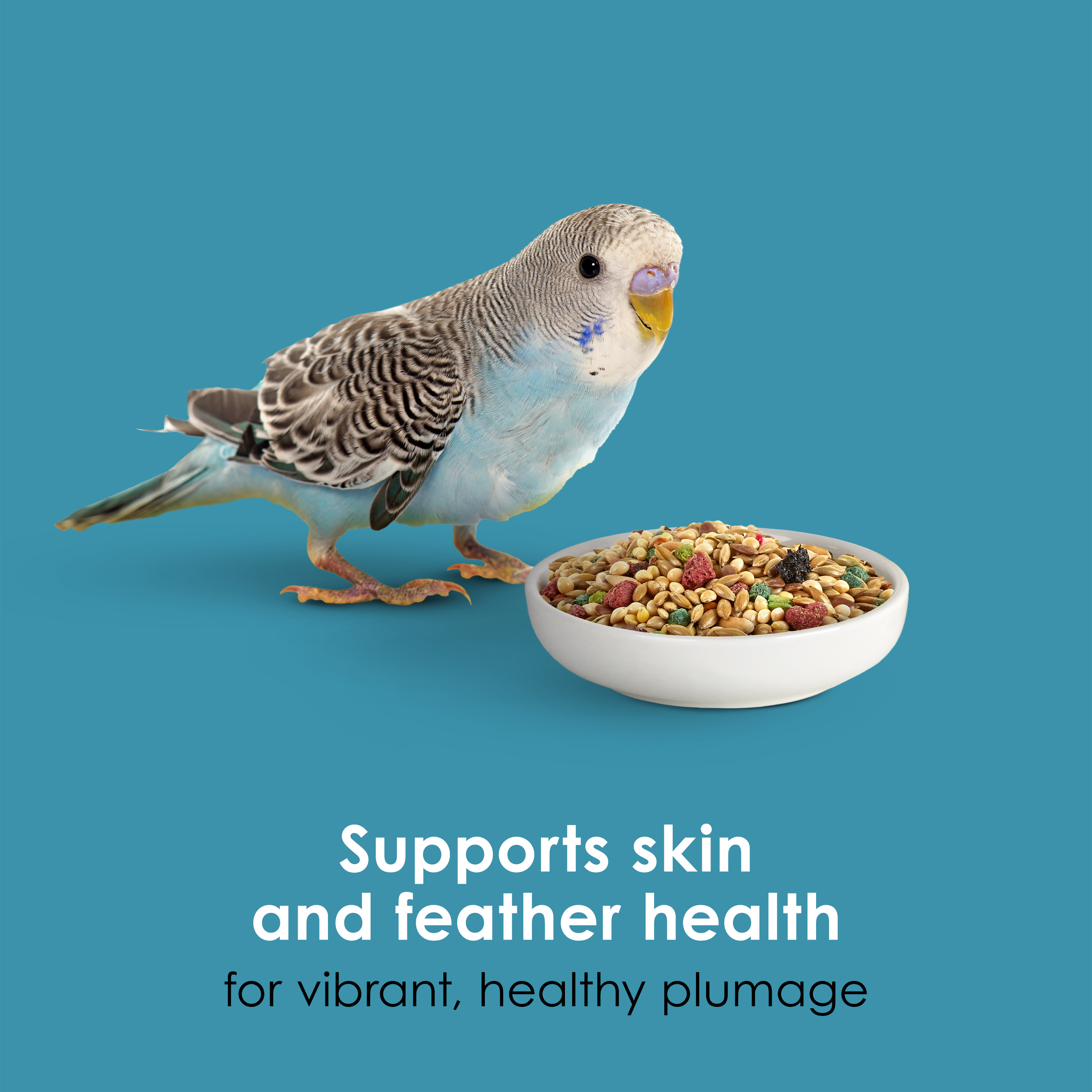 762571676-perkeet_infographic06