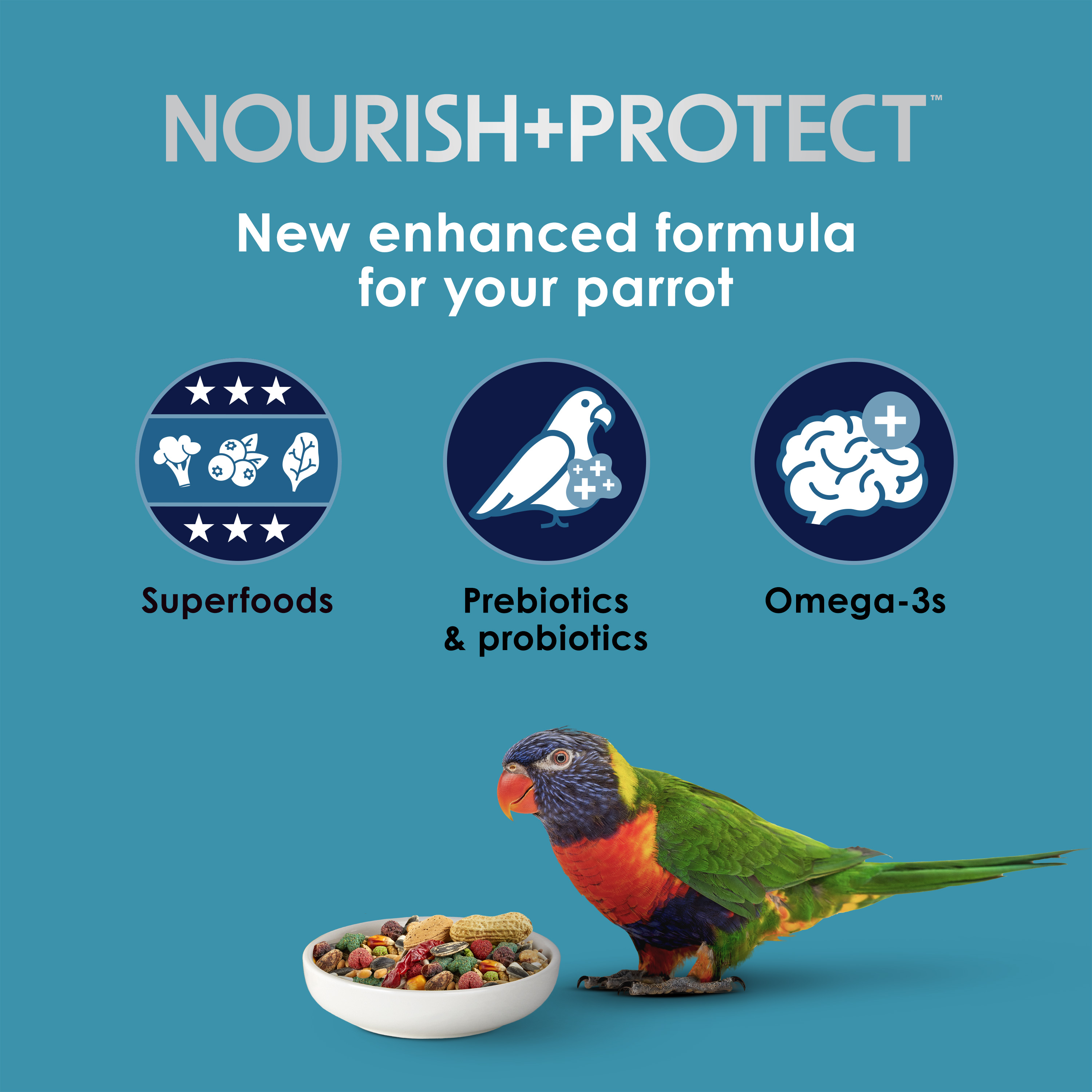 762567224-parrot_infographic01