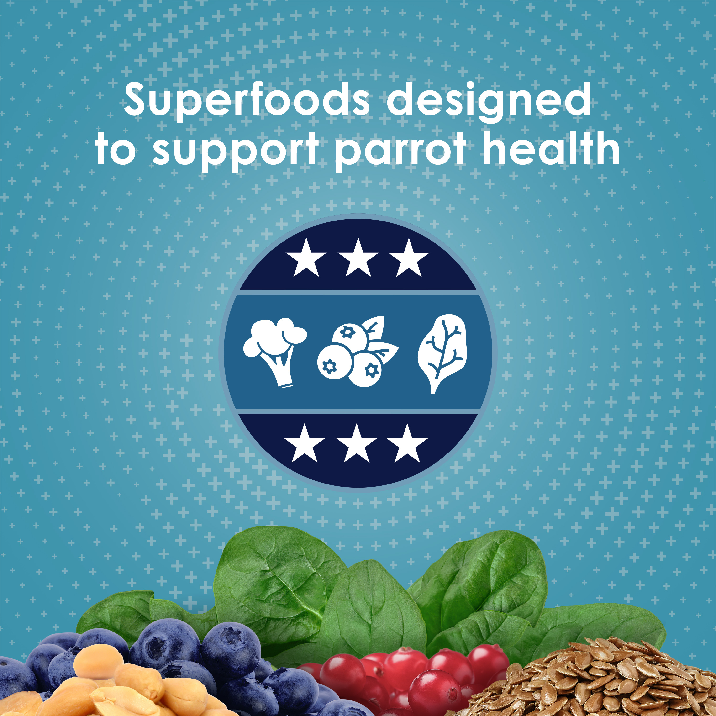 762567234-parrot_infographic02