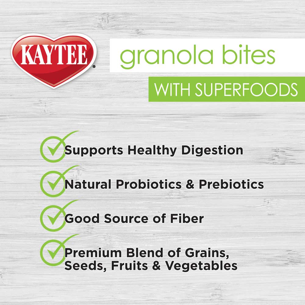 kaytee-granola-bites-with-superfoods-spinach-and-kale-02