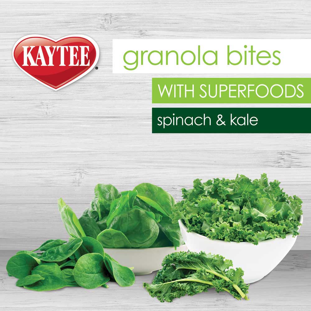 kaytee-granola-bites-with-superfoods-spinach-and-kale-front