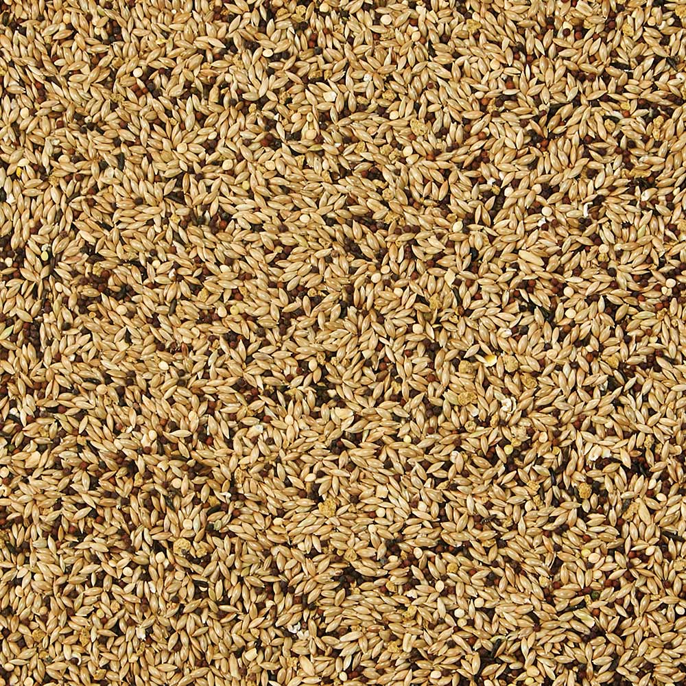 Kaytee Supreme Canary Finch Food
