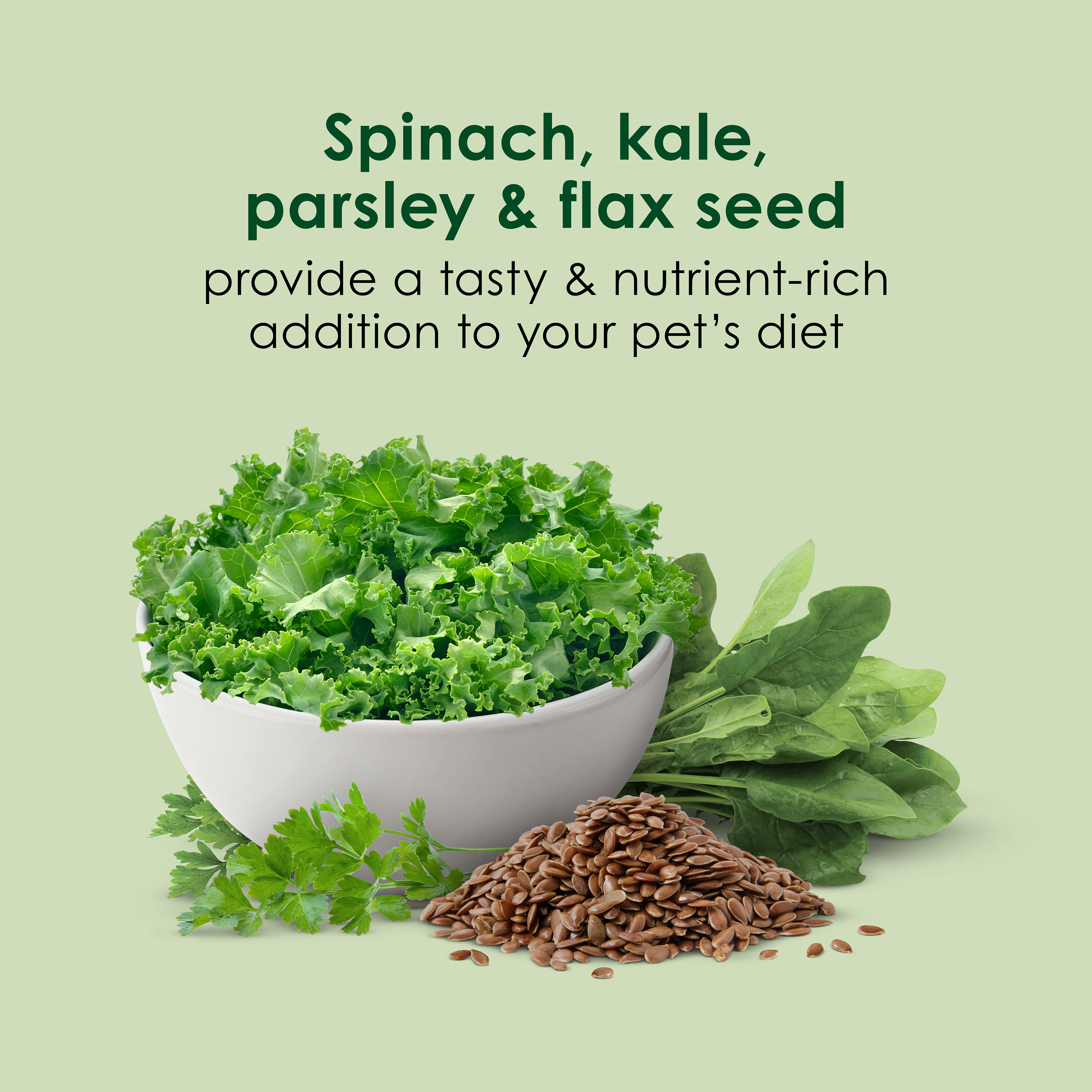 100552660_infographic03