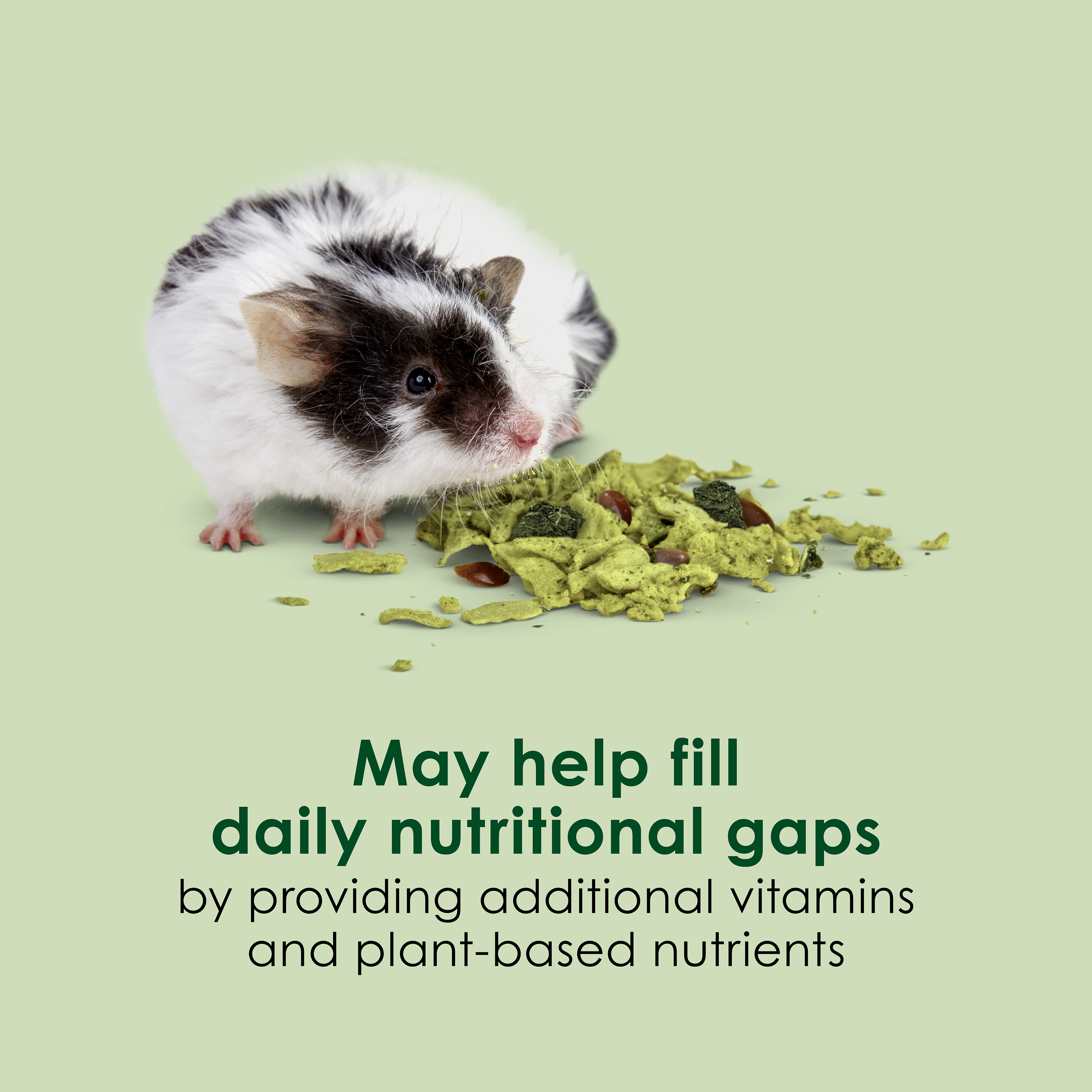 100552660_infographic04