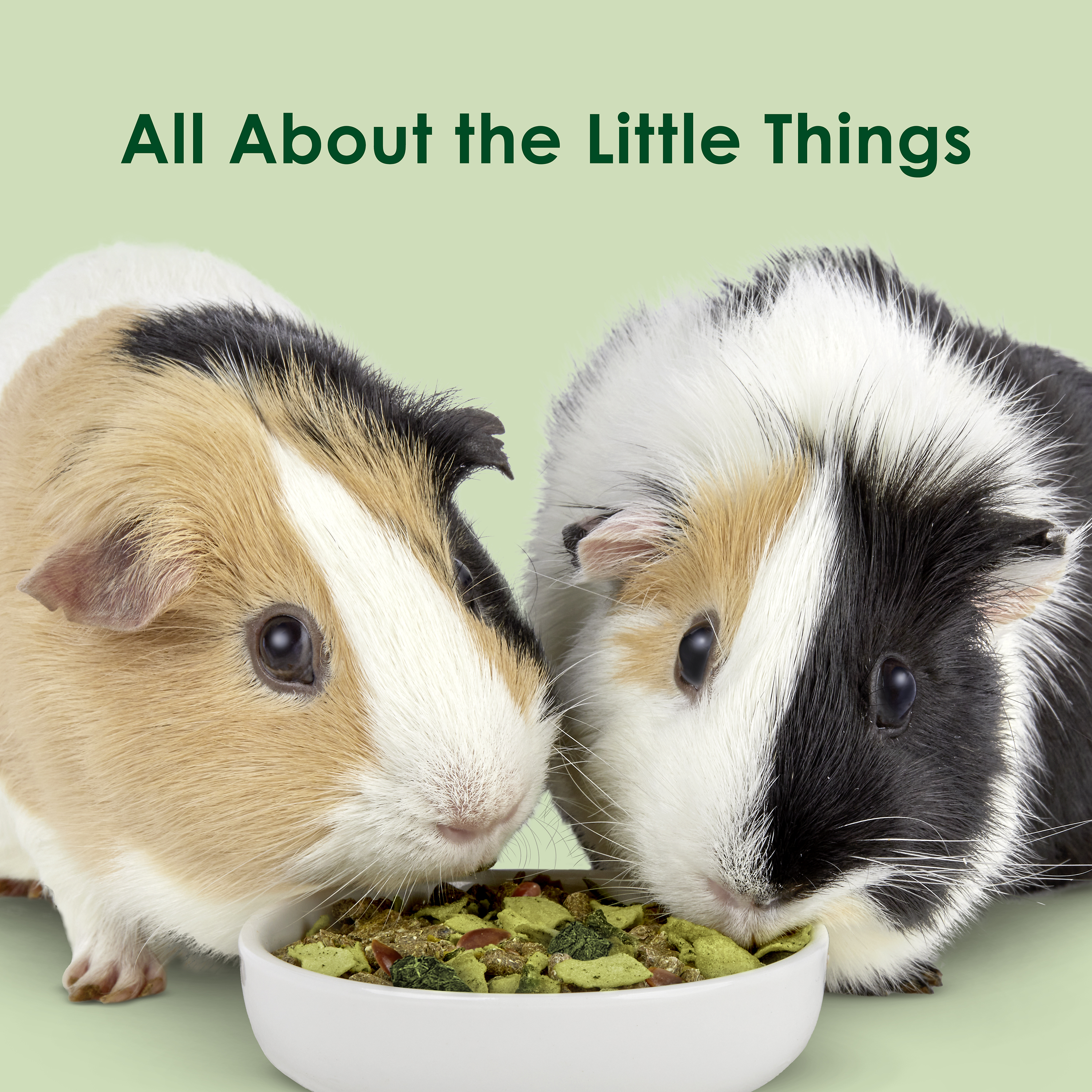 100552660_lifestyle01