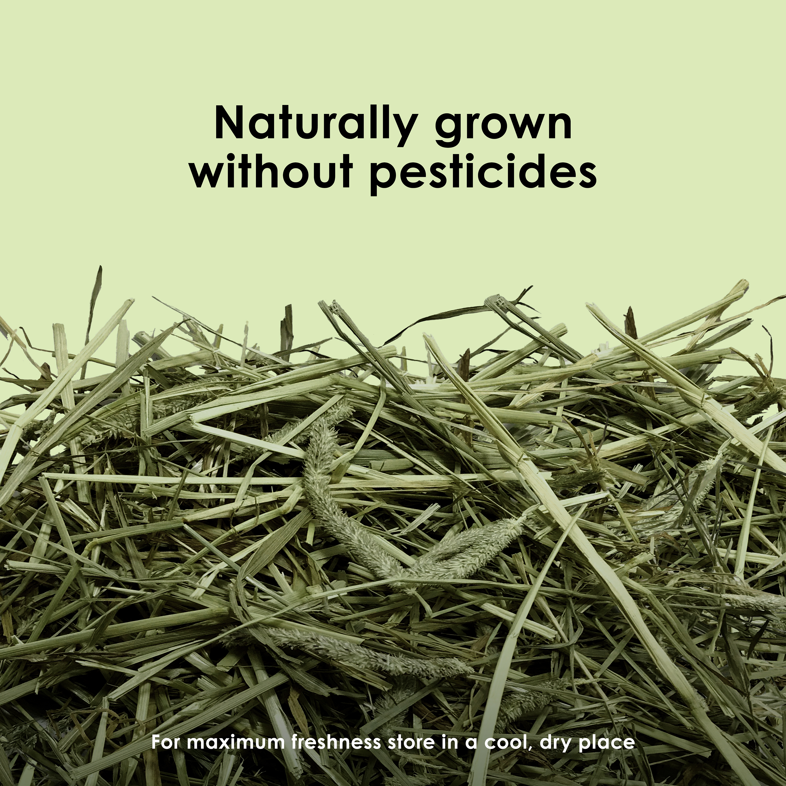 759202757-sapm100535001_infographic02