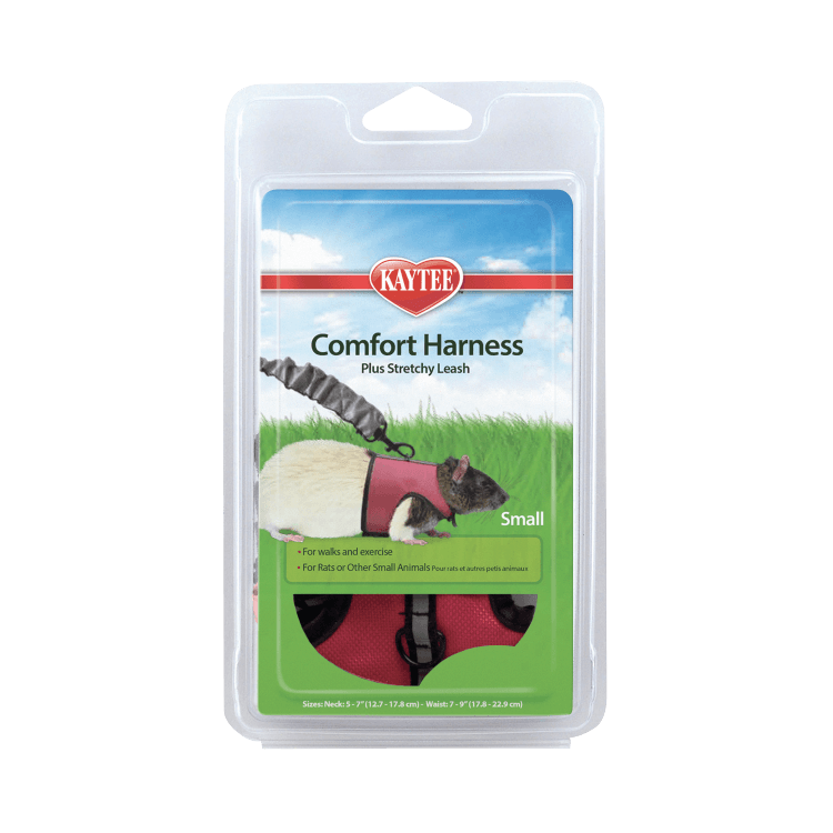 Comfort Harness & Stretchy Leash, Small