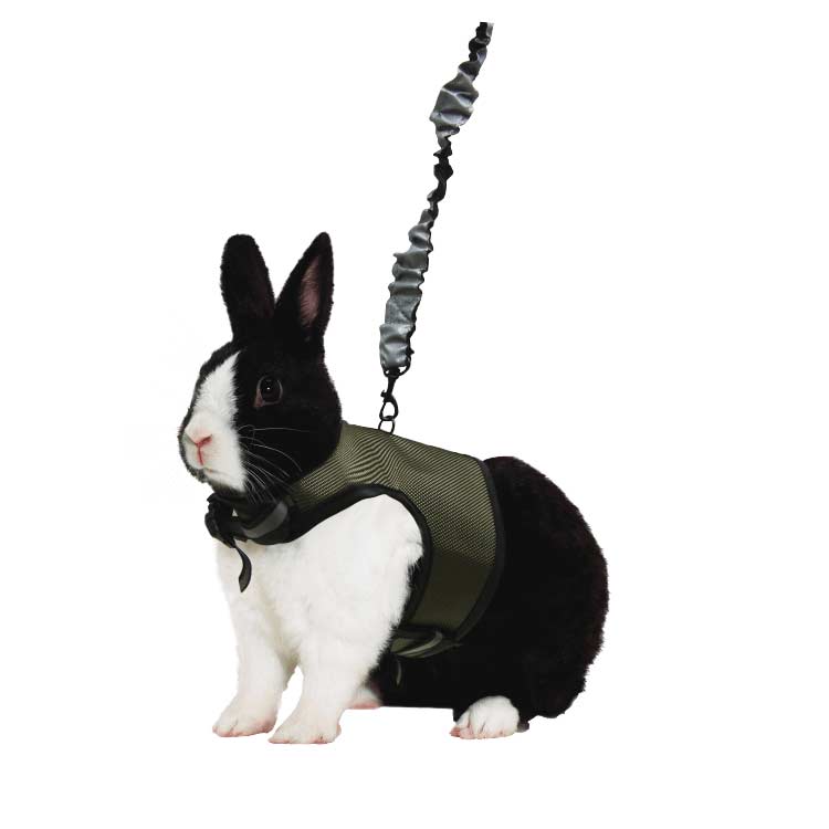 Rabbit harness cheap