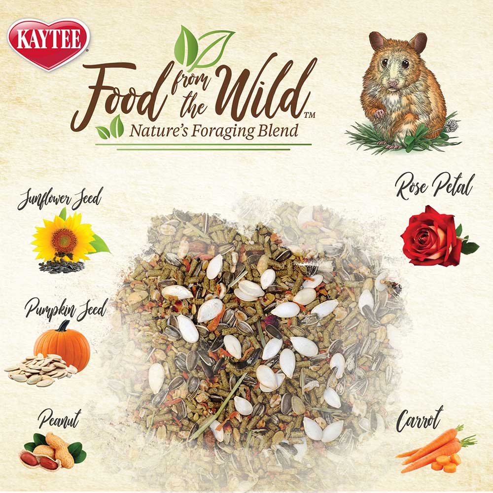 Natural-snack-for-small-animals