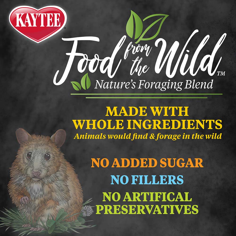 Hamsters: Diet, habits & types