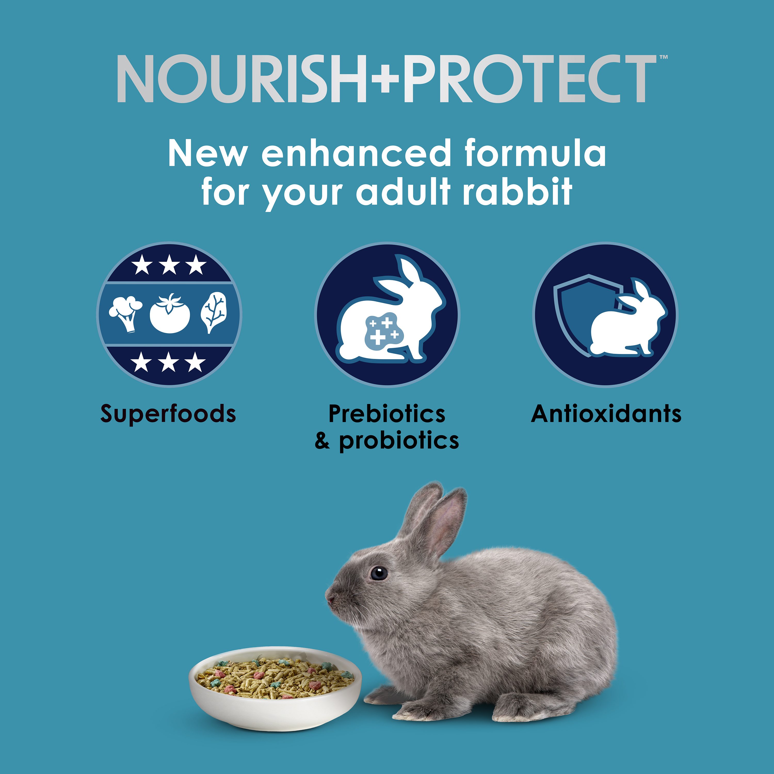 adultrabbit_infographic01
