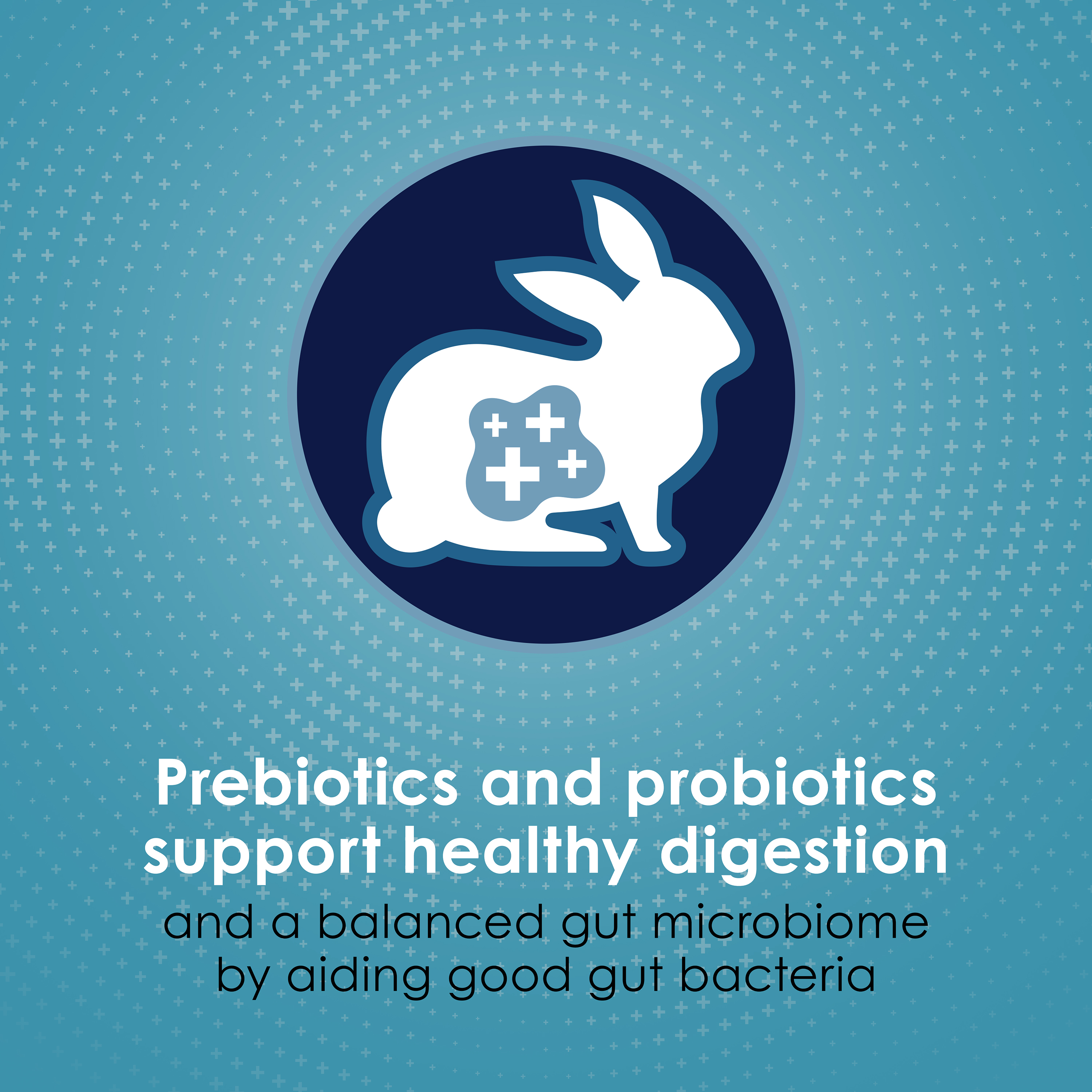 adultrabbit_infographic03
