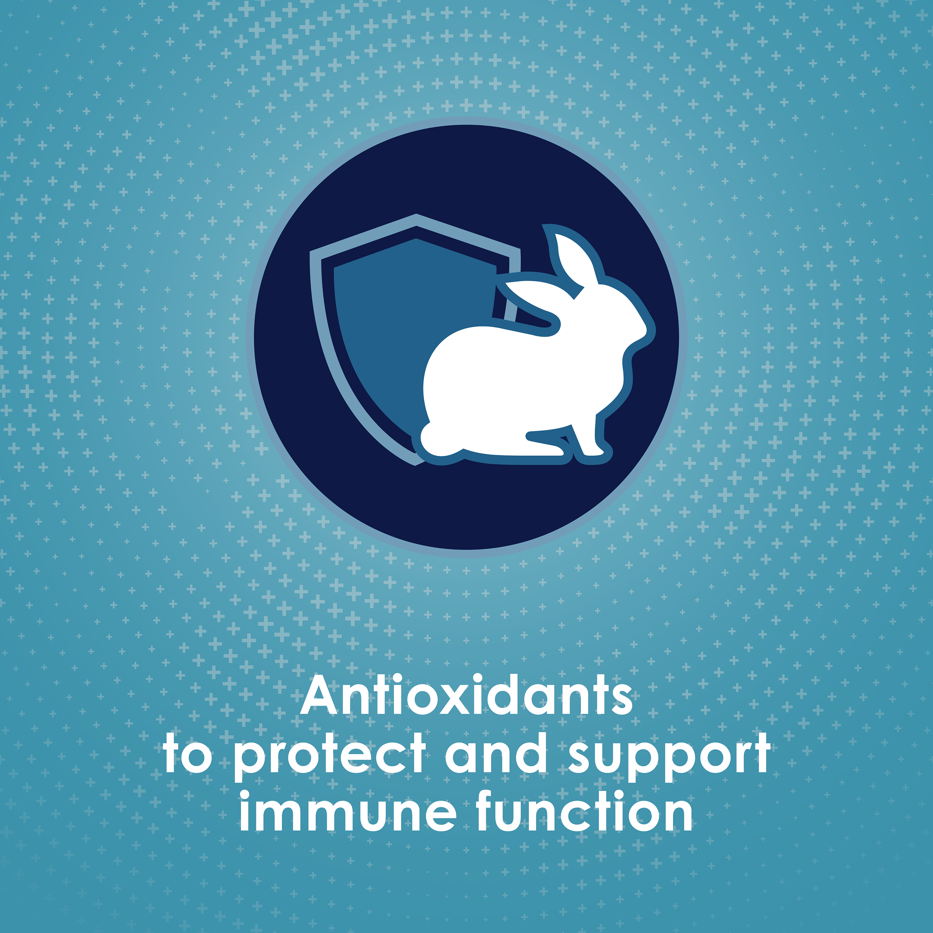 adultrabbit_infographic04
