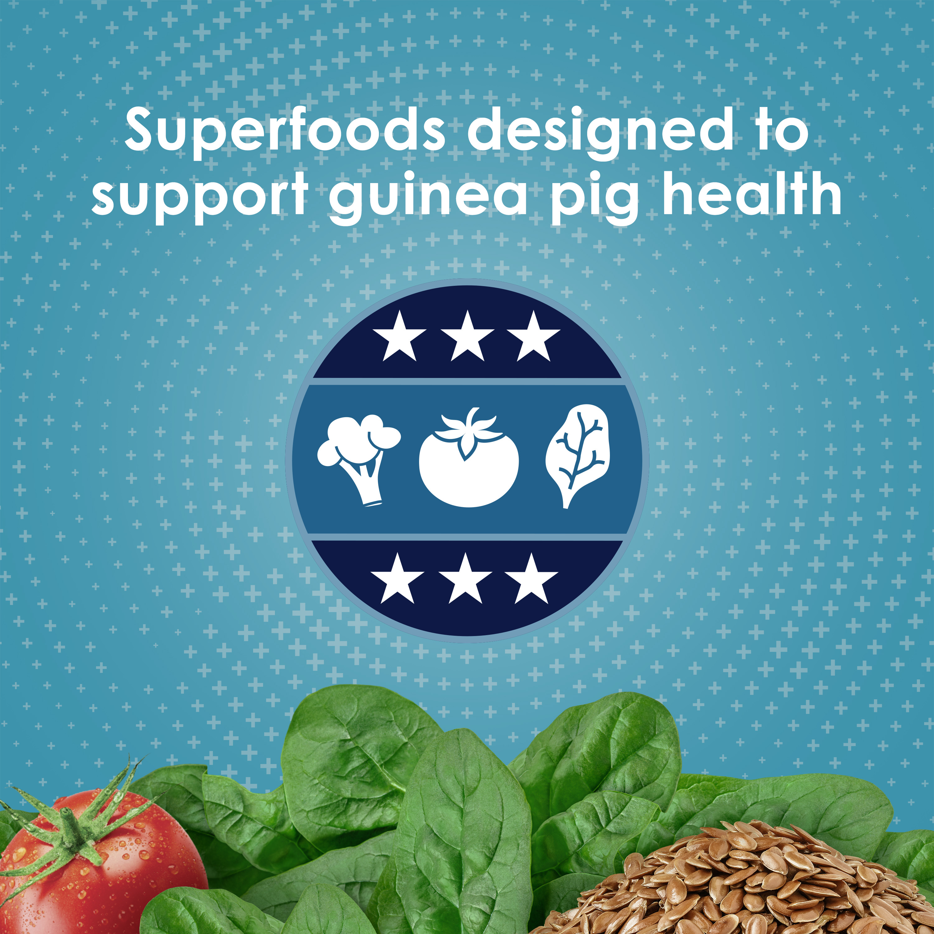 guinea_infographic02
