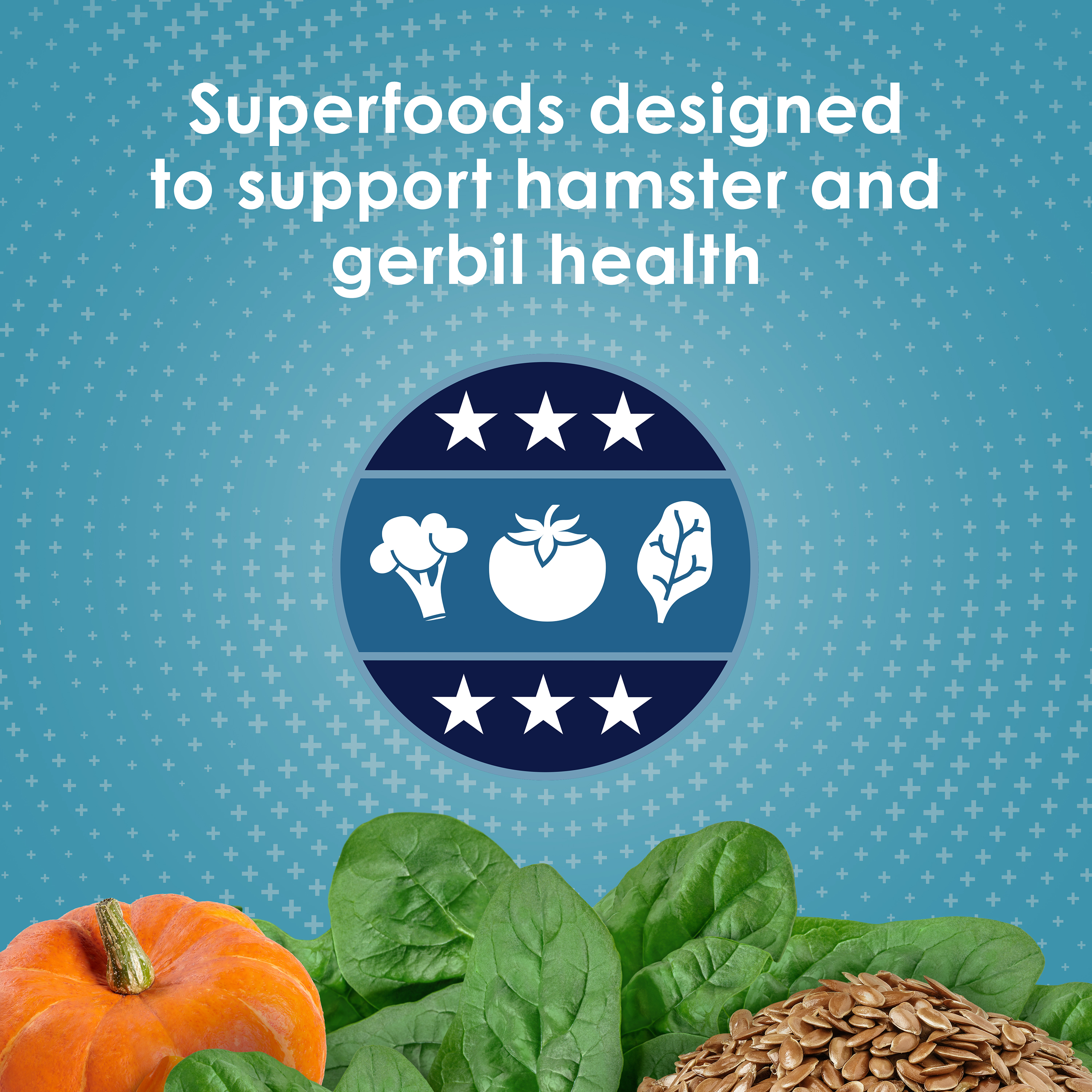 hamsterandgerbil_infographic02