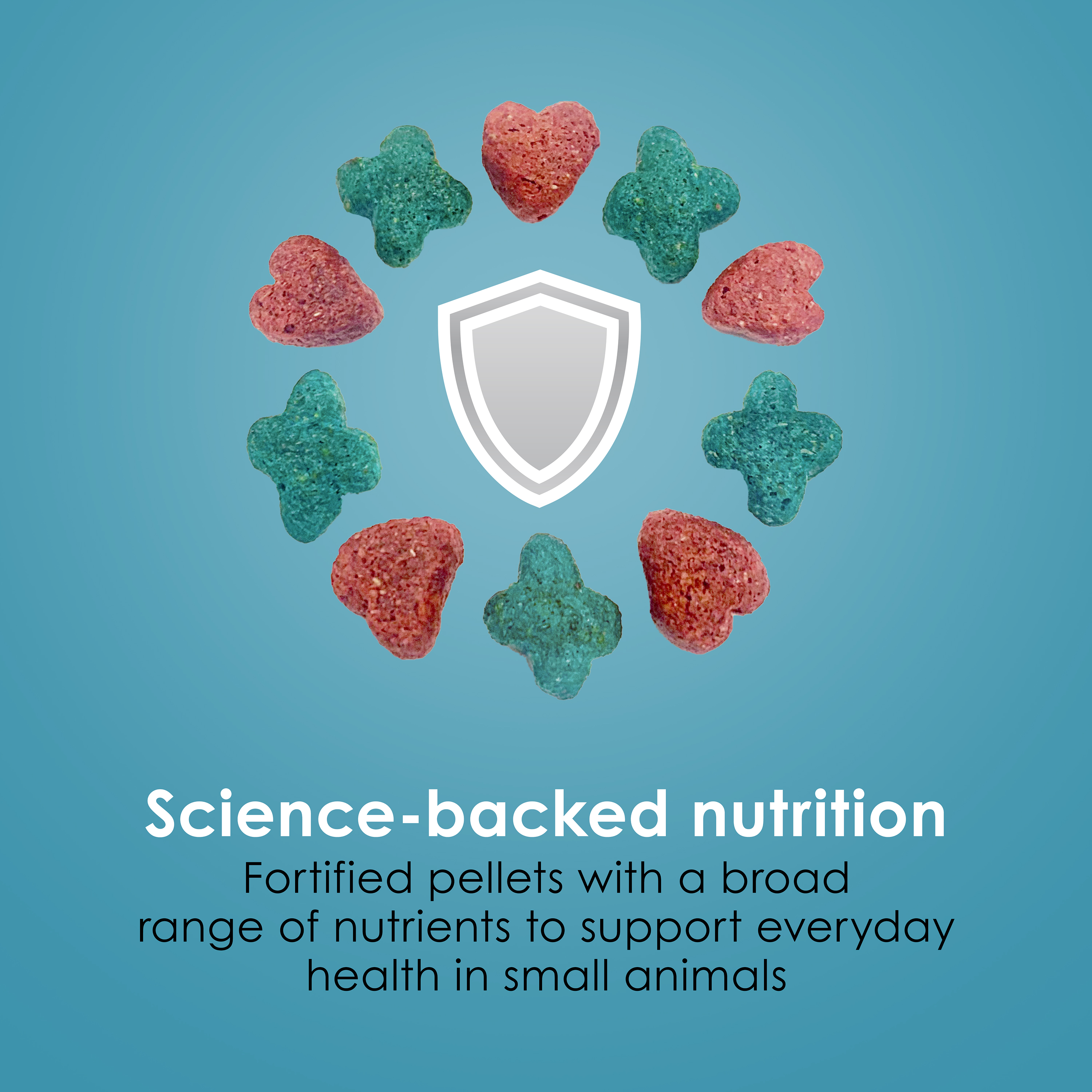 hamsterandgerbil_infographic05