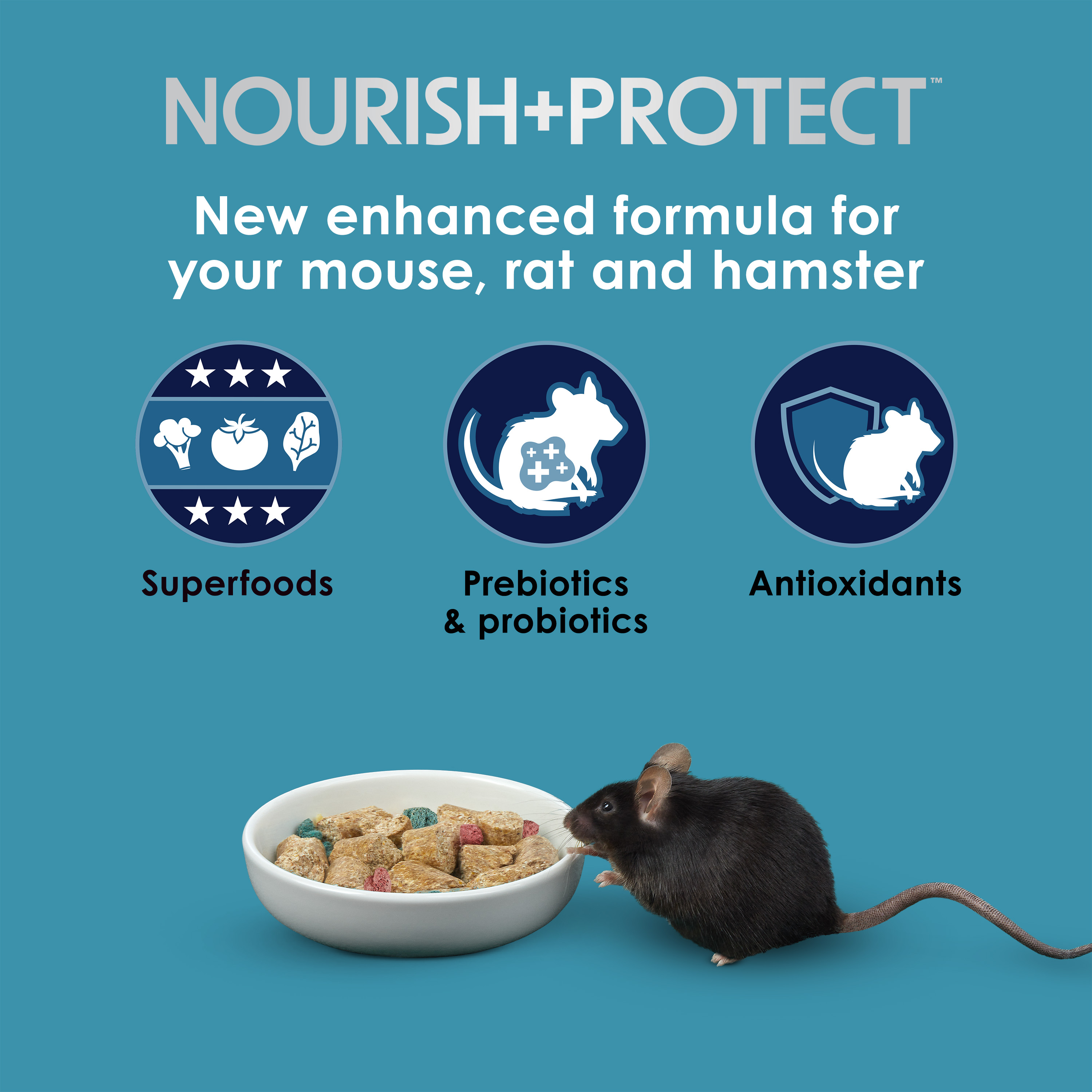 Mouse_Infographic01