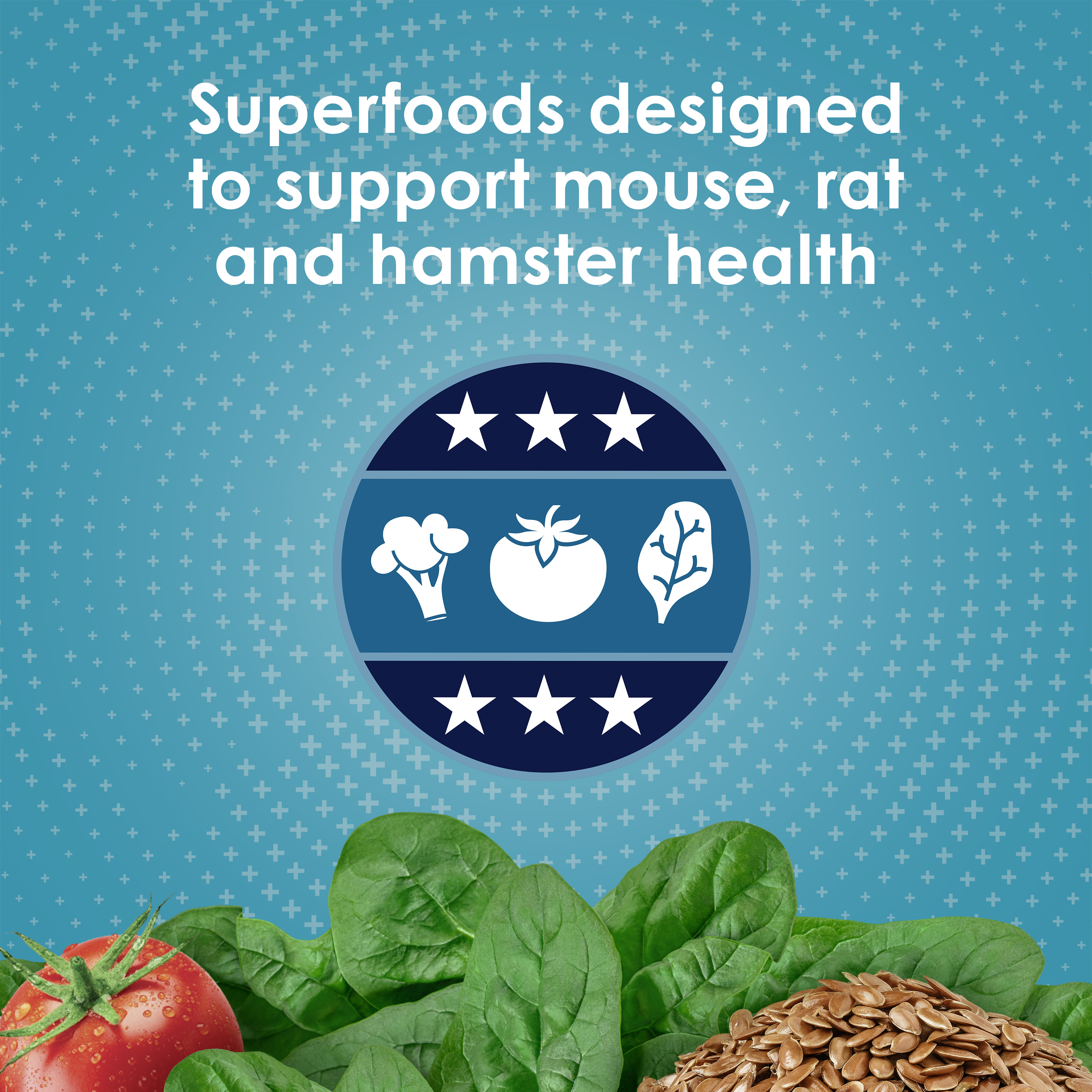 Mouse_Infographic02